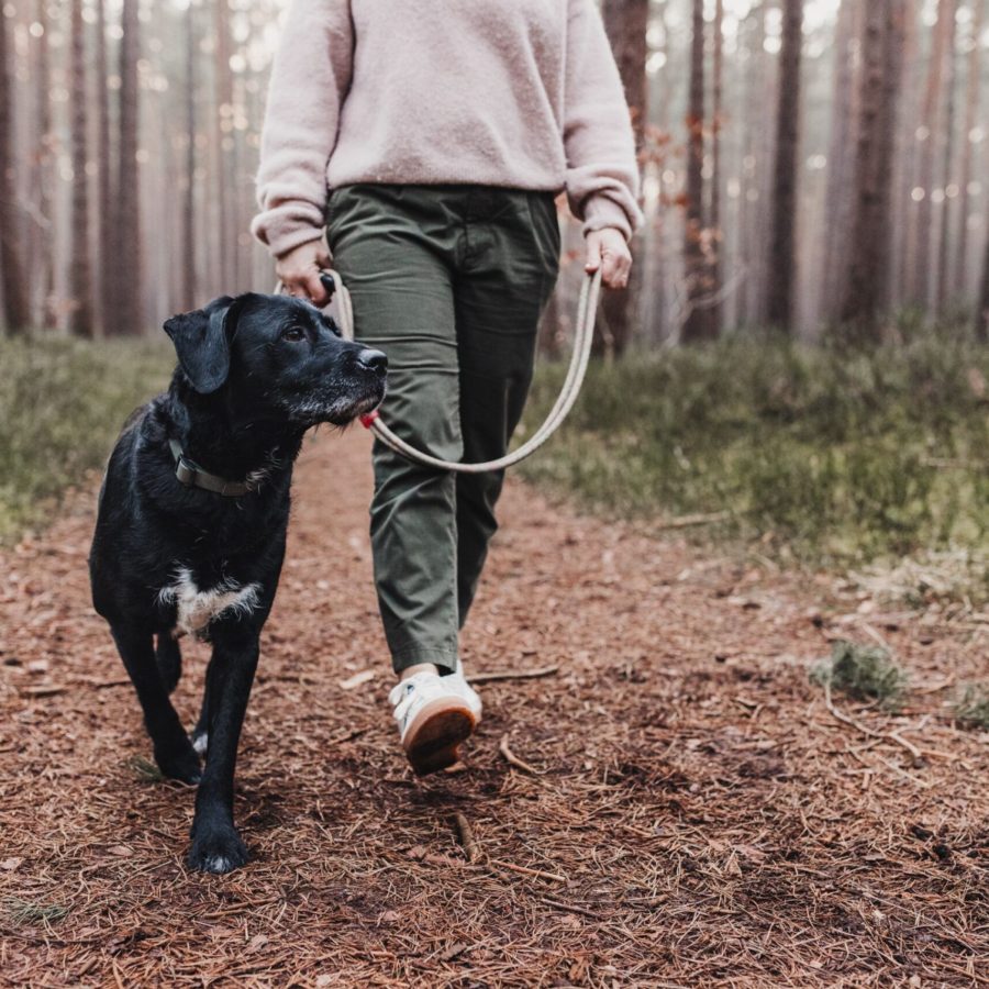 Kristina Gorges Coaching und Reflexintegration-86